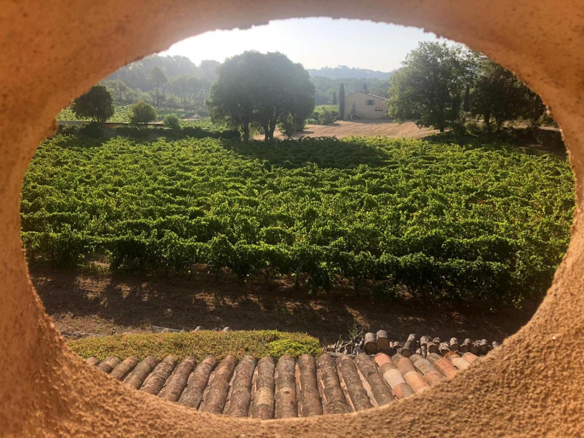 Domaine Du Clos D'Alari-Chambres D'Hotes Au Milieu Des Vignes Saint-Antonin-du-Var Εξωτερικό φωτογραφία