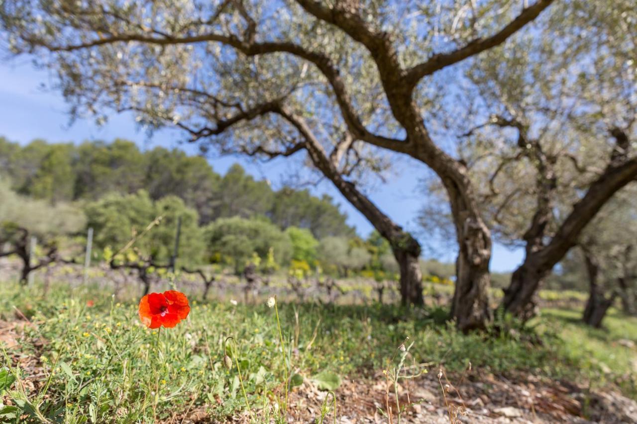 Domaine Du Clos D'Alari-Chambres D'Hotes Au Milieu Des Vignes Saint-Antonin-du-Var Εξωτερικό φωτογραφία