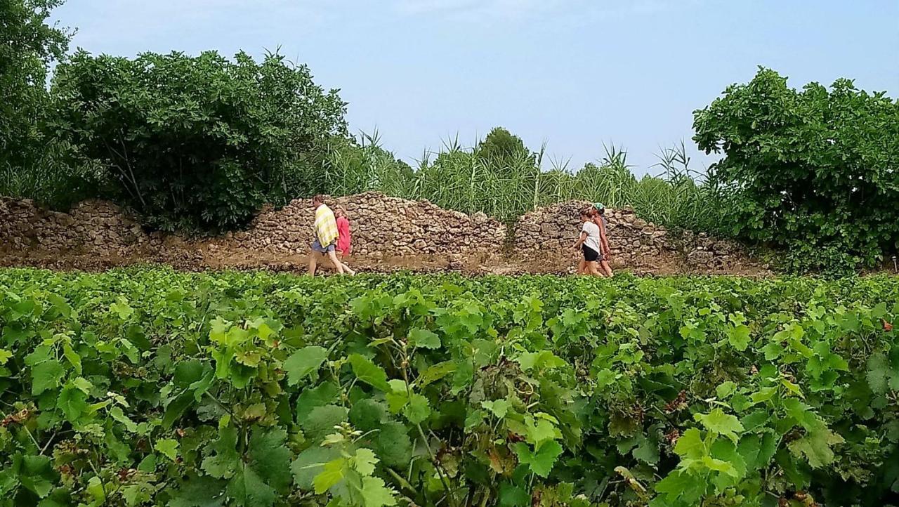 Domaine Du Clos D'Alari-Chambres D'Hotes Au Milieu Des Vignes Saint-Antonin-du-Var Εξωτερικό φωτογραφία